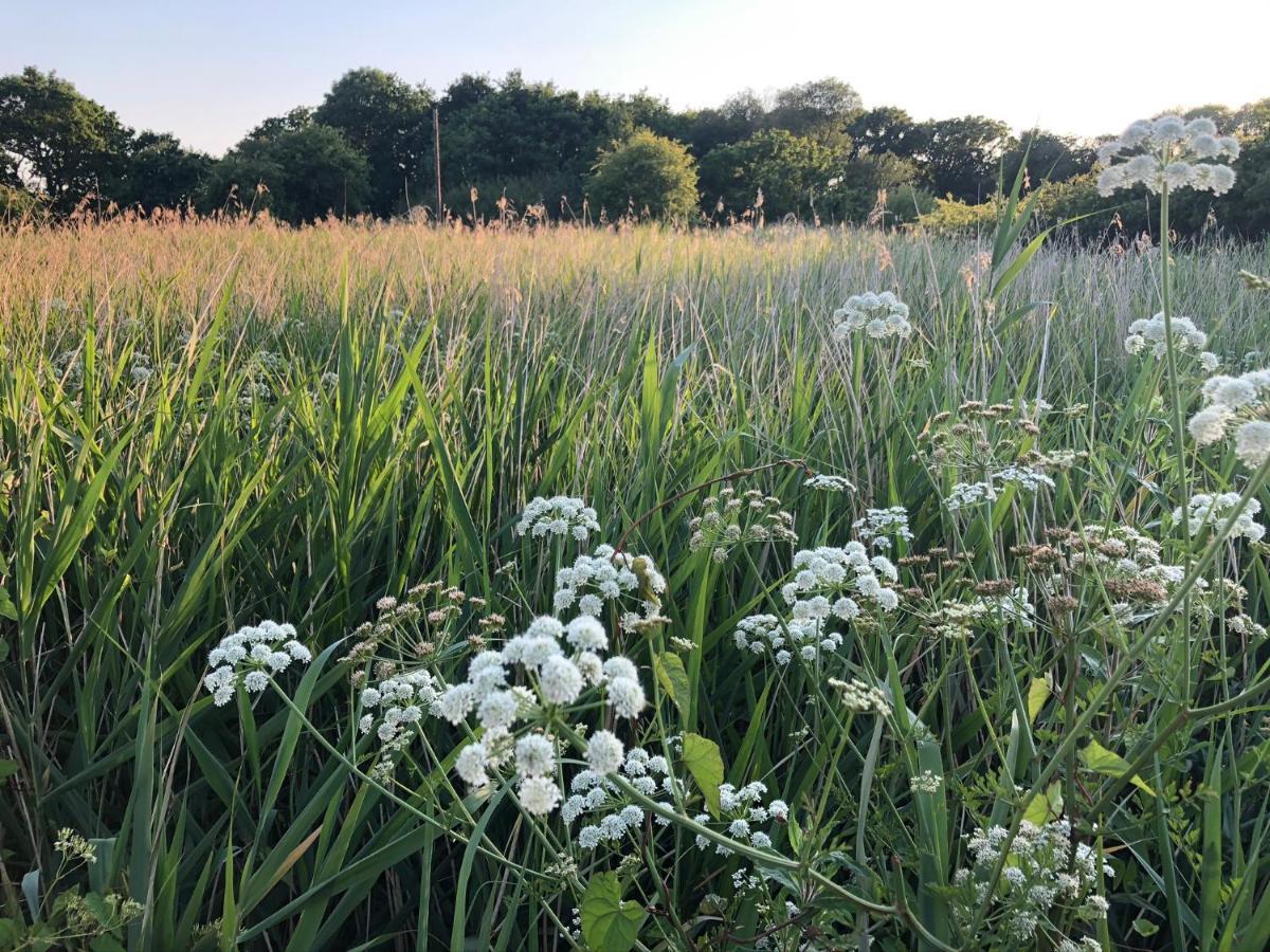 Secret Garden Glamping *