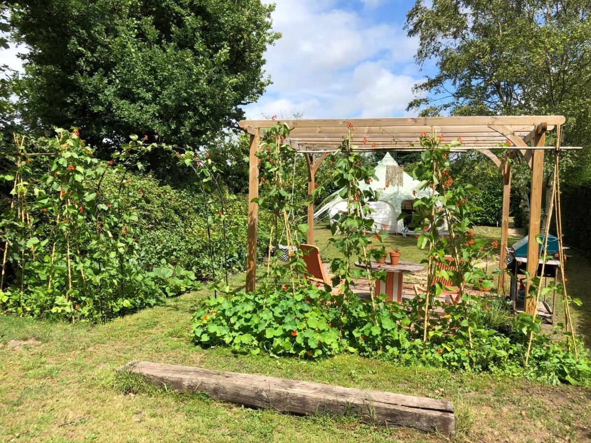 Luxury tent Secret Garden Glamping *