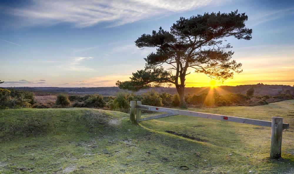 Bed & Breakfast The Knightwood Oak: Luxury King With Private Entrance In Lymington