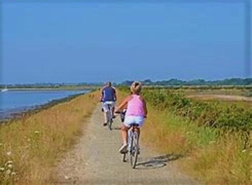 Bed & Breakfast The Knightwood Oak: Luxury King With Private Entrance In Lymington