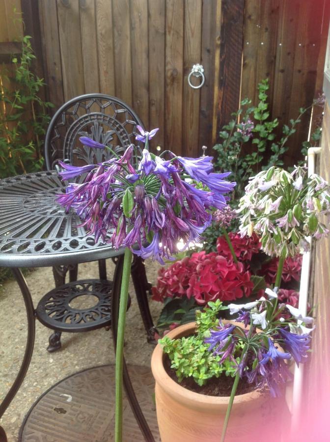 Bed & Breakfast The Knightwood Oak: Luxury King With Private Entrance In Lymington