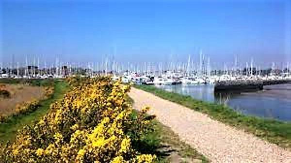 The Knightwood Oak: Luxury King With Private Entrance In Lymington