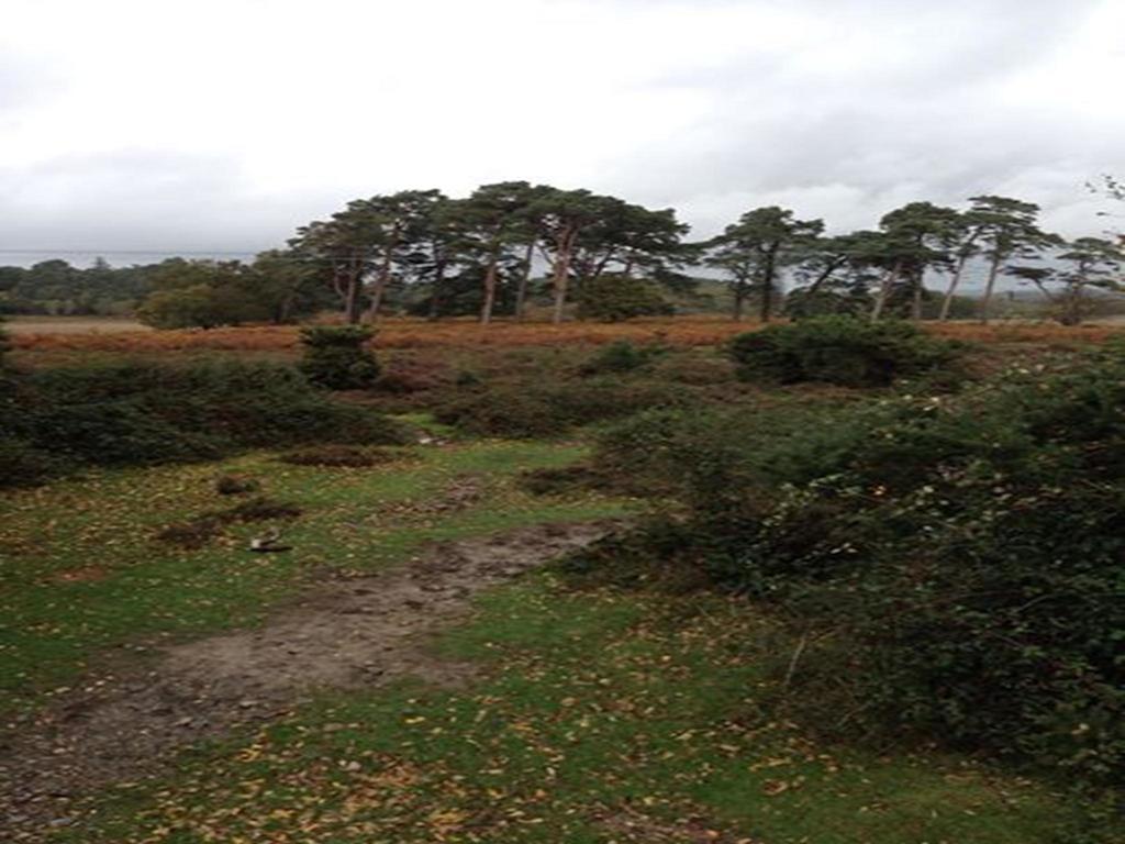 Guest house Auplands En-suite Lymington