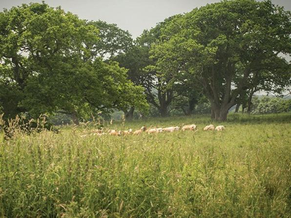 Bed & Breakfast The Walhampton Arms Lymington