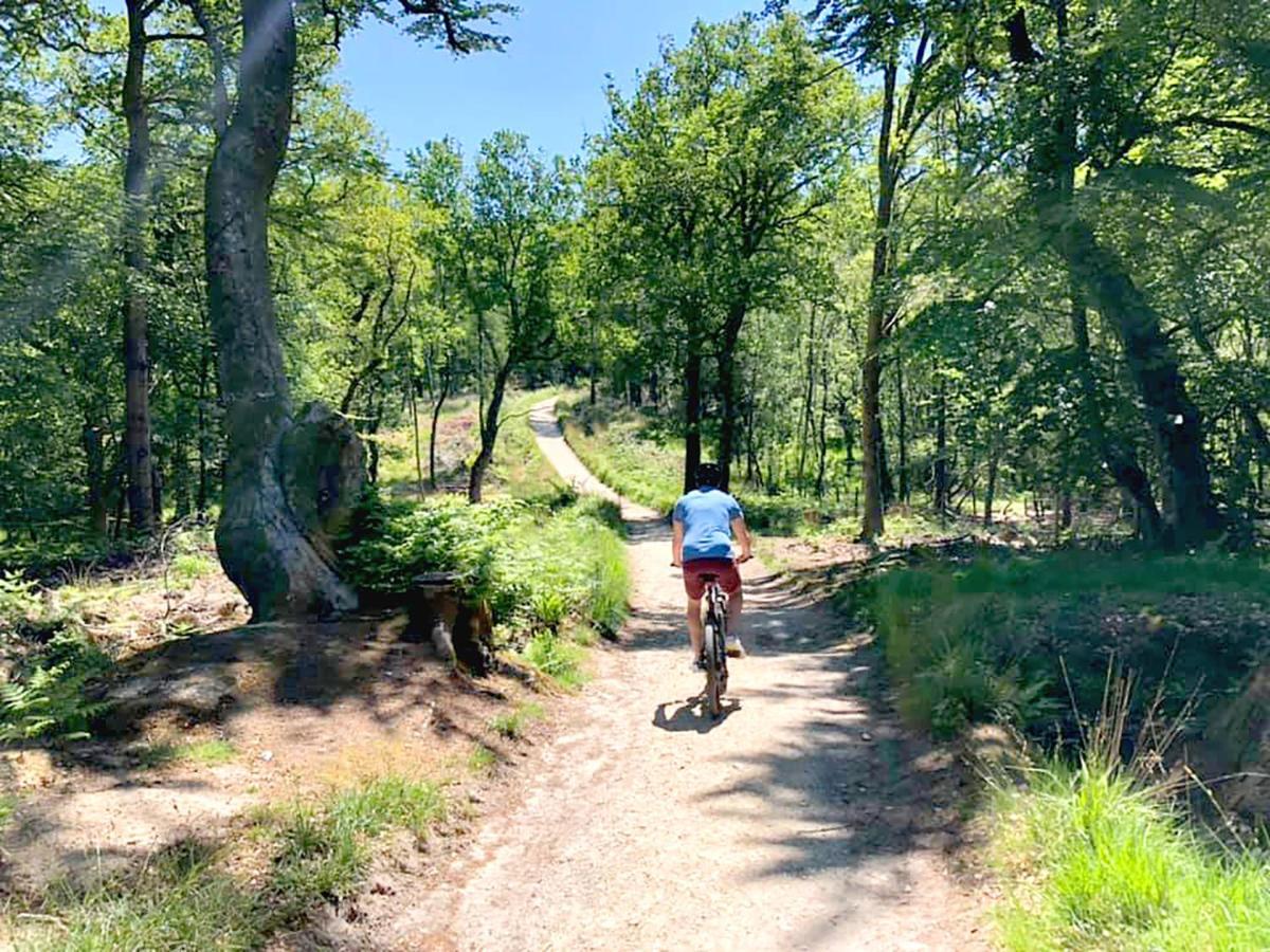 Beautiful New Forest Getaway