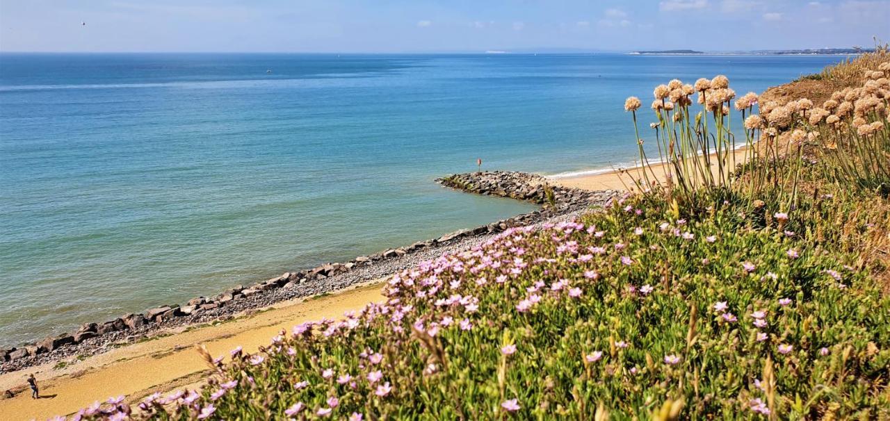En-suite Nook Near Forest & Sea, Super Value With Fridge, Microwave And Tv Homestay *