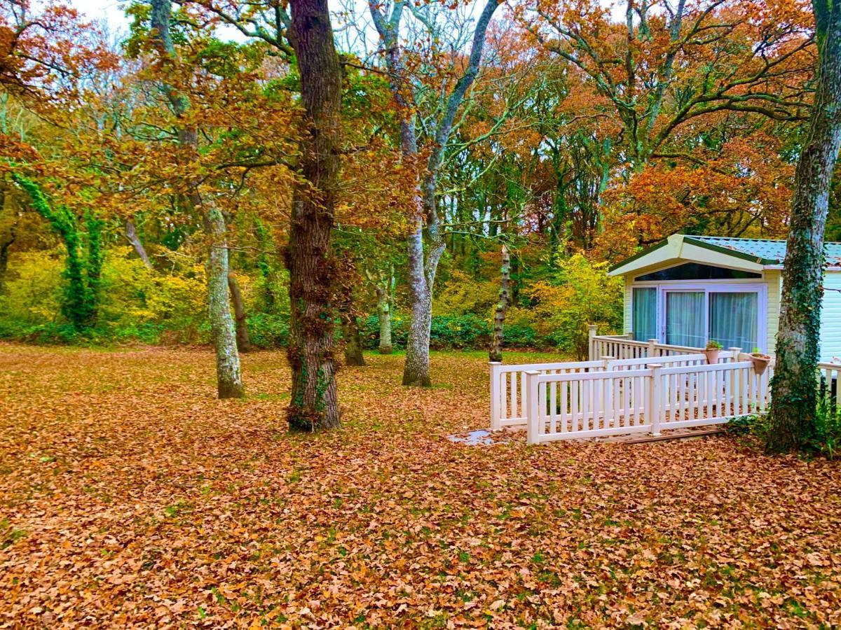 Forest Shorefield Park Campsite 5*