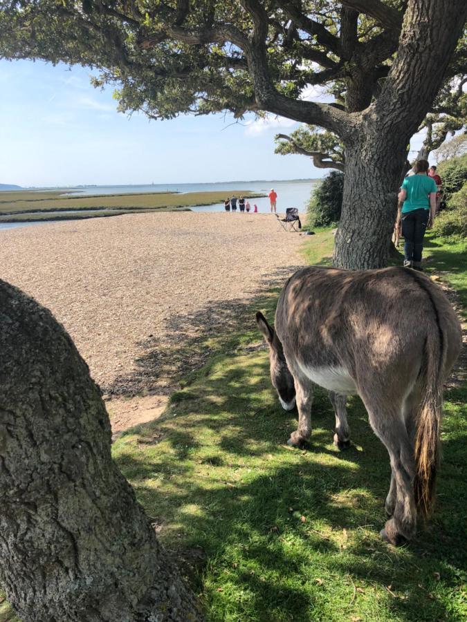 Island View * Lymington