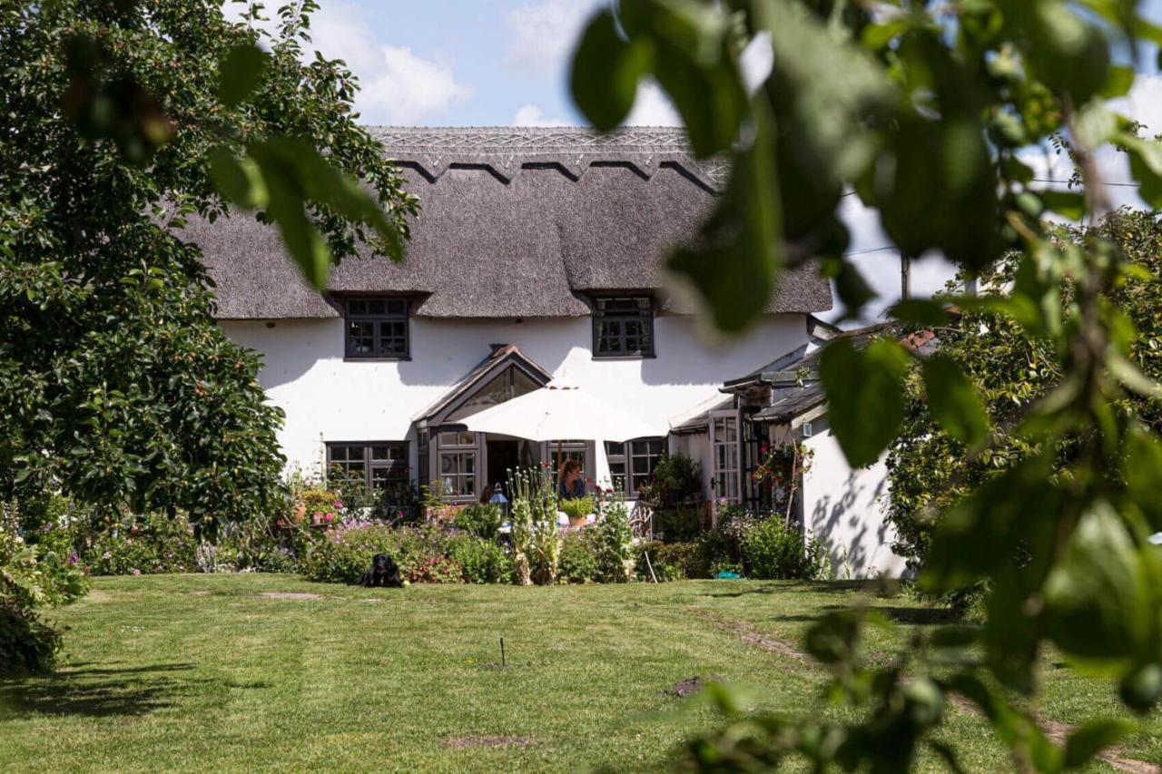 Thatched Holiday home