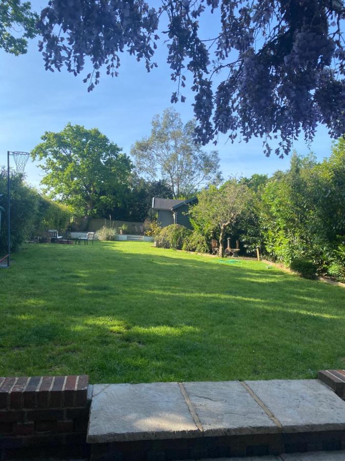 Modern Summerhouse Lymington