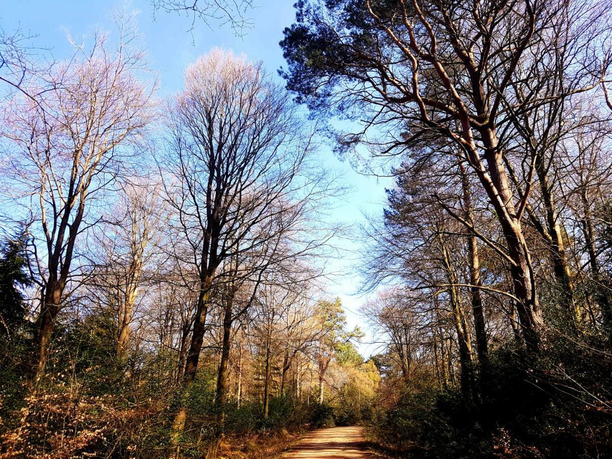 Wildwood Bed & Breakfast Lymington