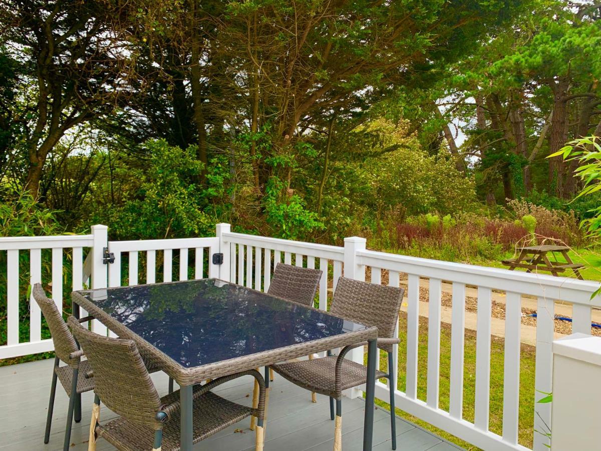 Campsite Forest Shorefield Park 5*
