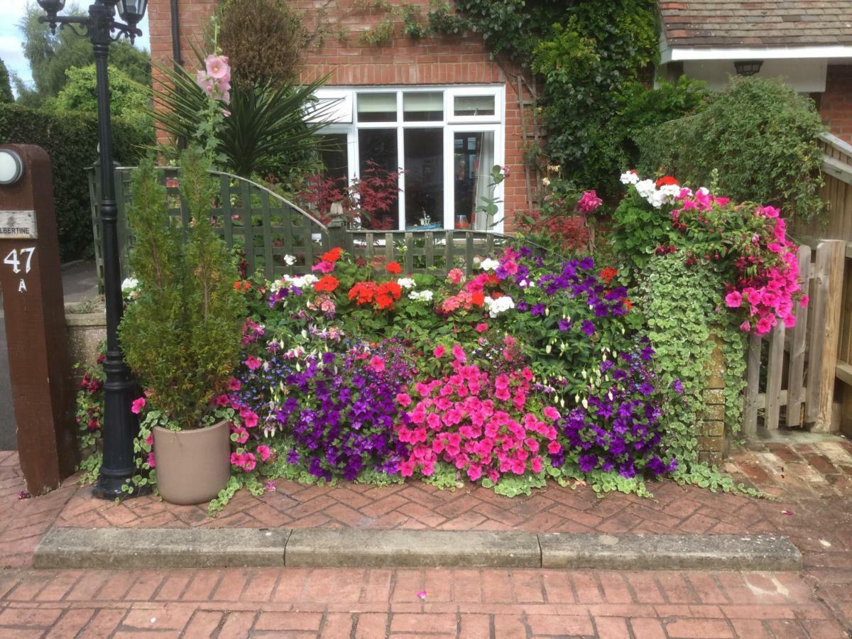 Bed & Breakfast Albertine
