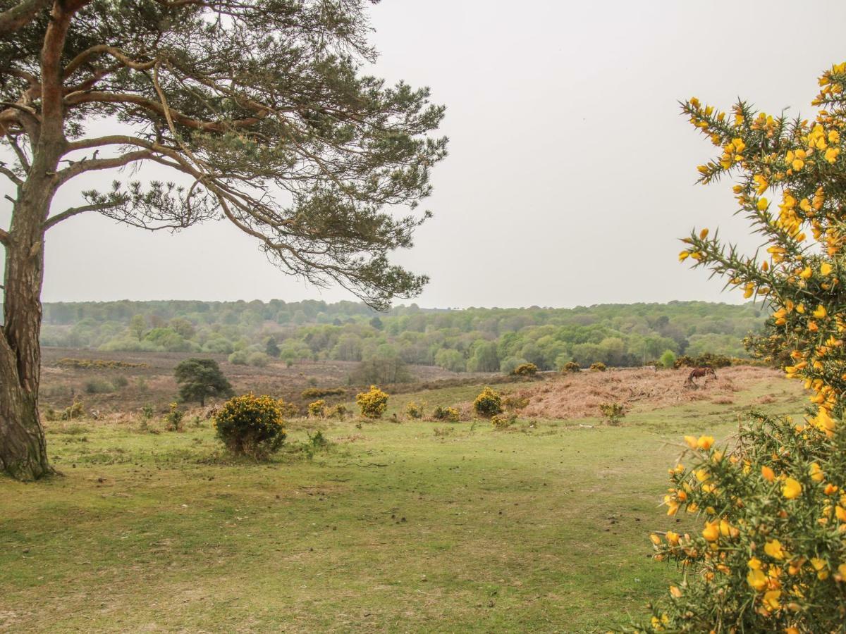 Holiday home Orchard Annexe Lymington