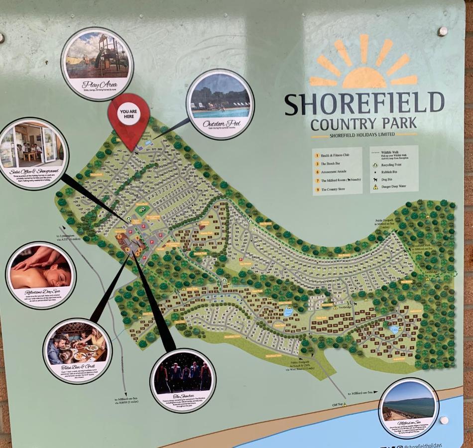Campsite Forest Shorefield Park