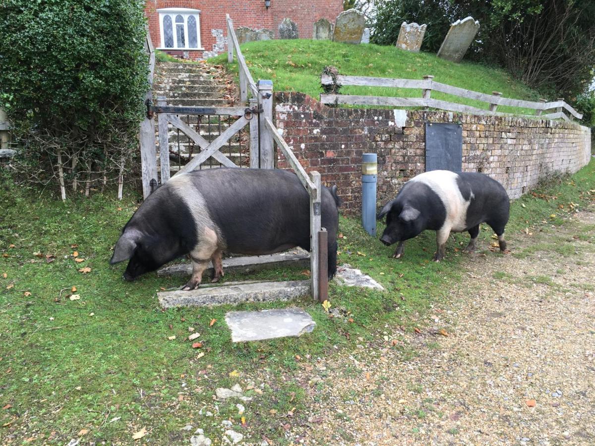 No 64 Bed & Breakfast *