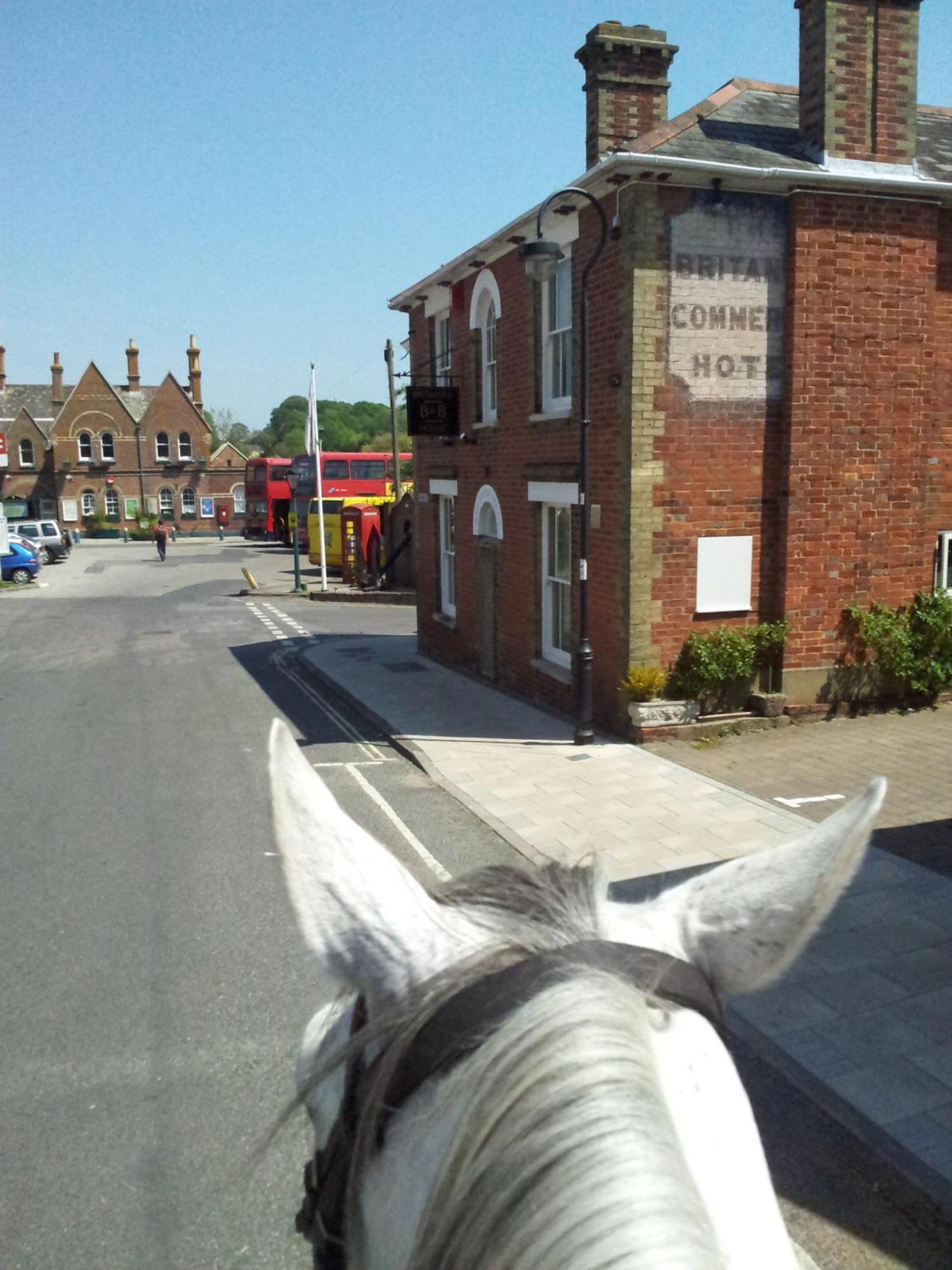 Bed & Breakfast Britannia House 5*